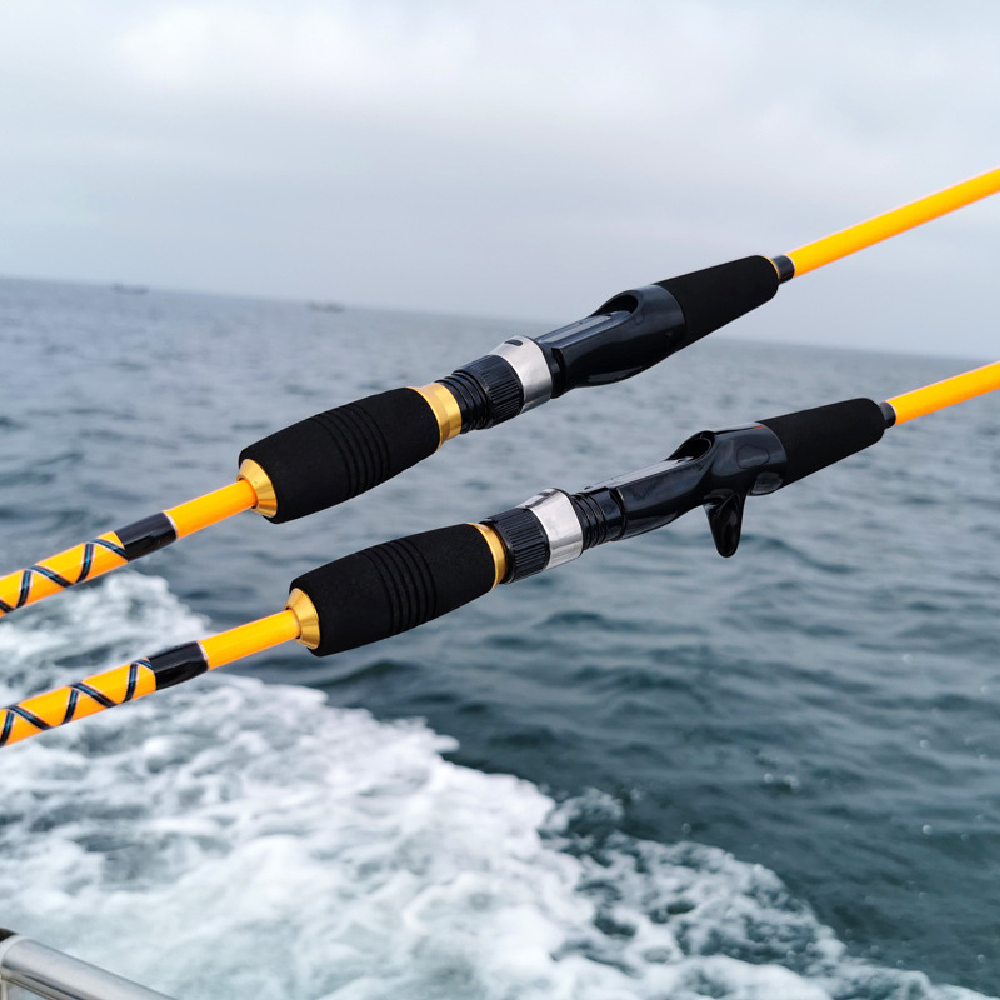 Professional Sea Boat Fishing  - Fishing Rod Surf 리뷰 및 가격