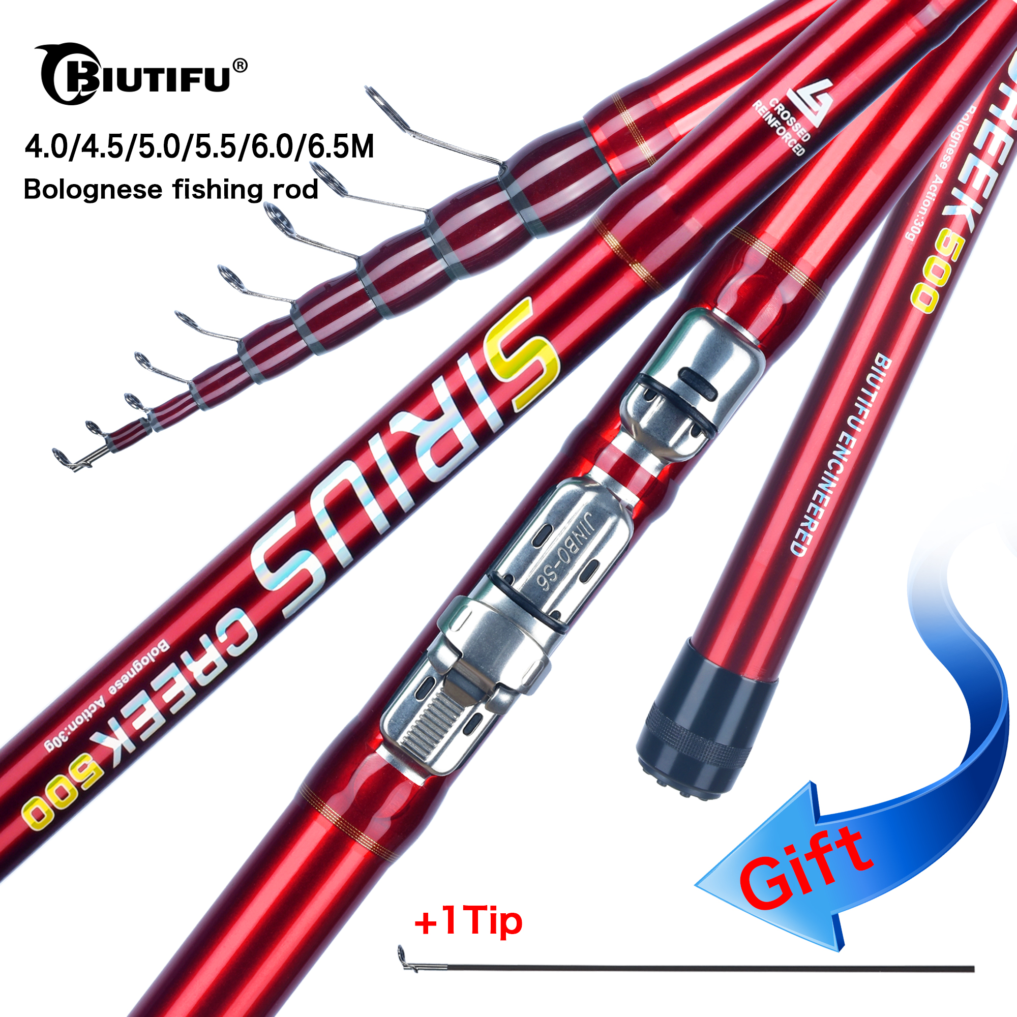 BIUTIFU Telescopic Bolognese F - Fishing Rod Surf 리뷰 및 가격